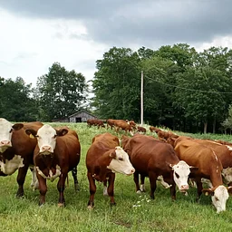 Agriculture Conservation Assistance Program (ACAP) Local Advisory Committee (LAC) Meeting