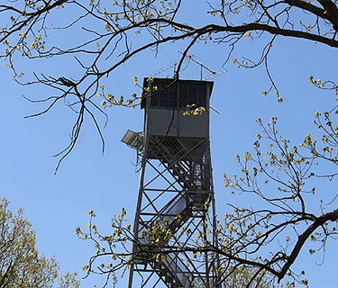 Guided Fire Tower Tour & Hike