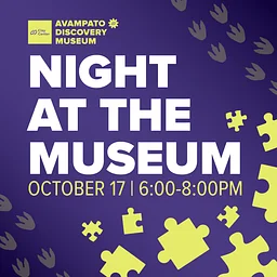 Night at the Museum
