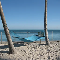 Yoga Relief