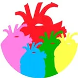 Human HeART Studios