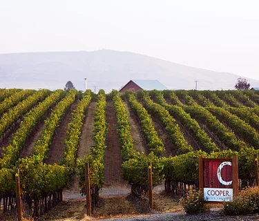 Red Mountain Summer CoopClub Release