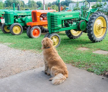 Antique Tractor Show