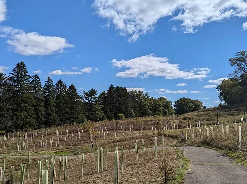 Tree Steward Program Field Training- Venango Trail