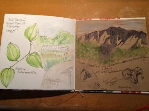 Spring Nature Drawing & Journaling