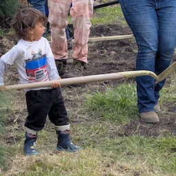 Tree Planting Volunteer Workday
