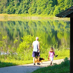 Let’s Move It: An Interpretive Health Hike