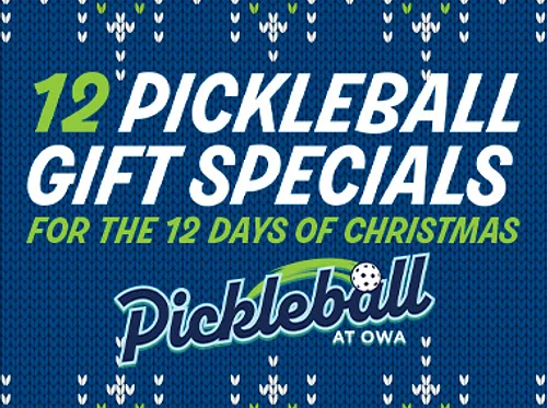 12 Days of Christmas