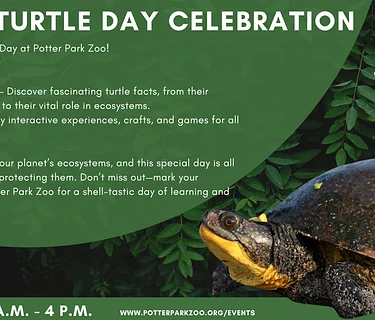 World Turtle Day Celebration