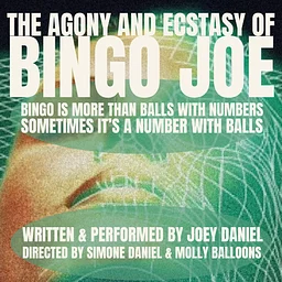 The Agony and Ecstasy of Bingo Joe