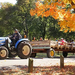 Awbury Arboretum Harvest Festival