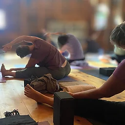 Vinyasa Flow Yoga