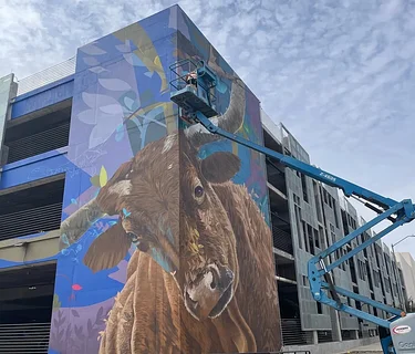 Framerate: Desert Pulse