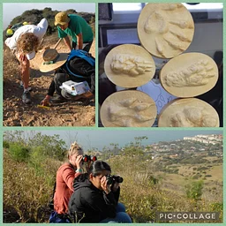 Wildlife Tracking Workshop