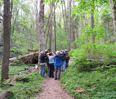 Guided Trail Walk