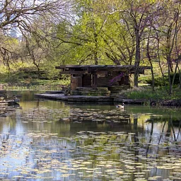 Alfred Caldwell Lily Pool – Closing Day