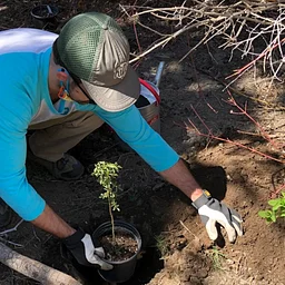 Volunteer Project Day – Planting Native Species