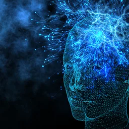 GYROTONIC® Principles in the Context of Neuroplasticity