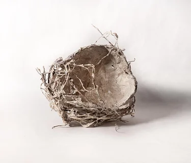 Papermaking Series: Small-Scale Hollow Form Sculpture with Katy DeMent