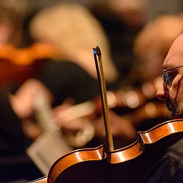Fiddle-icious