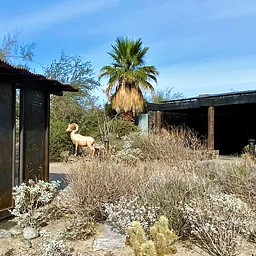 Public Lands Day, Monumental Clean-up at SRSJMN Monument Visitor Center