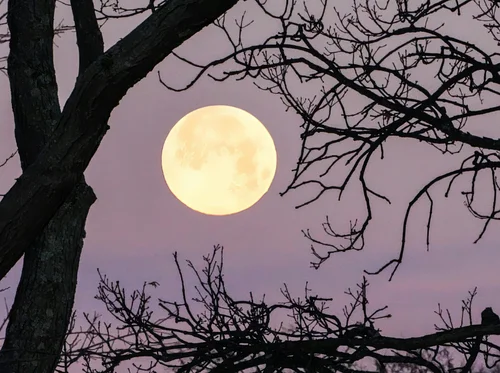 Spring Equinox Moonlight Walk 