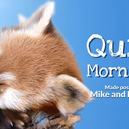 Quiet Mornings