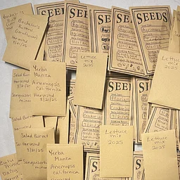 Volunteer Seed Processing