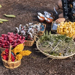 PERFORMANCE: MAIZE BY ACT II