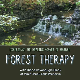Forest Therapy