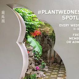#PlantWednesday Spotlight