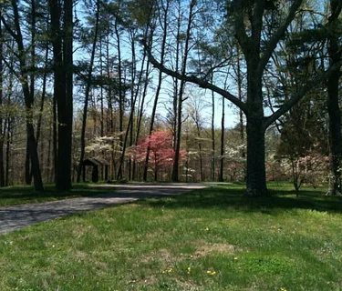 First Sunday Nature Hike: Tales from the Trees