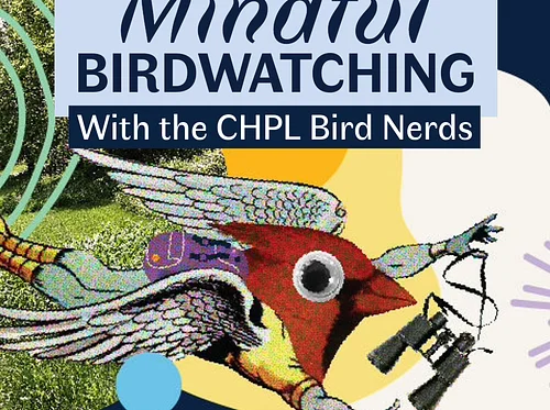 Mindful Birdwatching with the CHPL Bird Nerds
