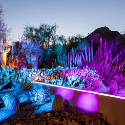 90s / 2000s Throwback Music Night: Desert Oasis Garden After Dark