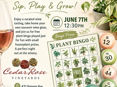 Wine Tasting & Free Bingo