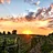 Verona Vineyards & Winery