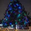 Tree Lighting at Historic Richmond Town