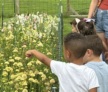 Farm School: Friendly Fields