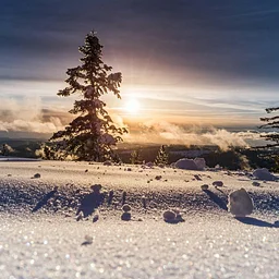 ❄️ Winter Yin: Rest & Decompress