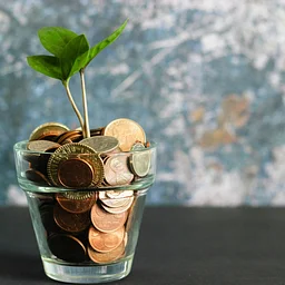 Community Financial Preparedness Class
