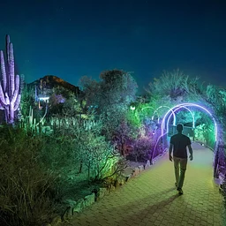 Latin Music Nights: Desert Oasis Garden After Dark