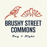 Brushy Street Commons