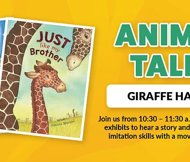 Early Childhood Pop-Up: Animal Tales – Giraffe Exhibit