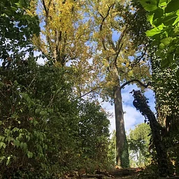 Glen Foerd Grounds Tour
