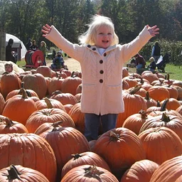 Fall Family Fun Weekends