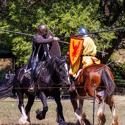 Santa Fe Renaissance Faire