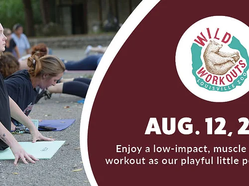 Wild Workout: Pilates (Little Penguin)