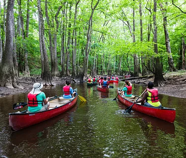 Park After Dark/Full Moon Paddle in Congaree National Park with Carolina Outdoor Adventures
