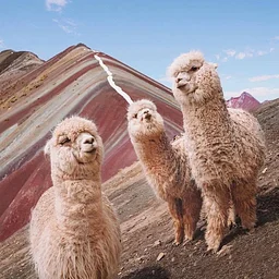 Peru (Lima and Cusco) 🇵🇪