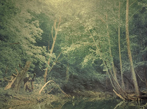 Bernheim Backroads Hike & Tour